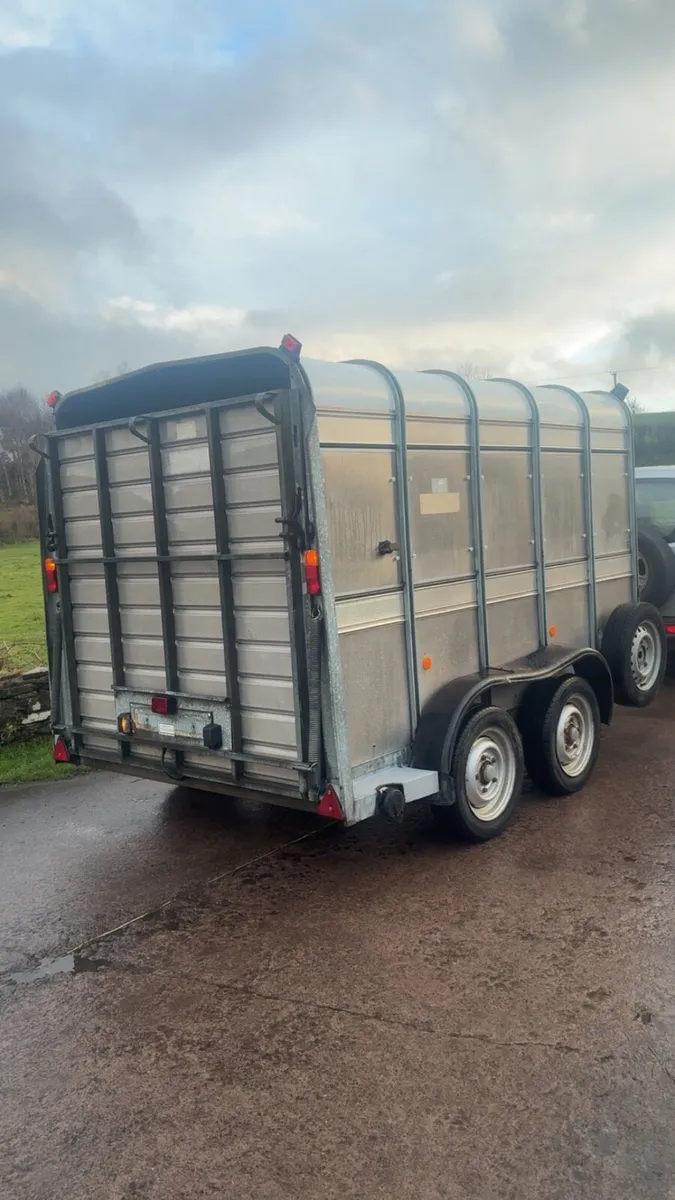 Ifor Williams cattle / sheep trailer - Image 2