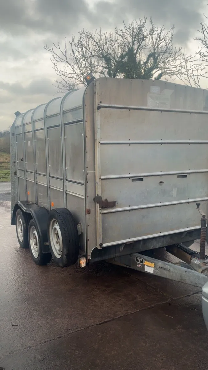 Ifor Williams cattle / sheep trailer - Image 1