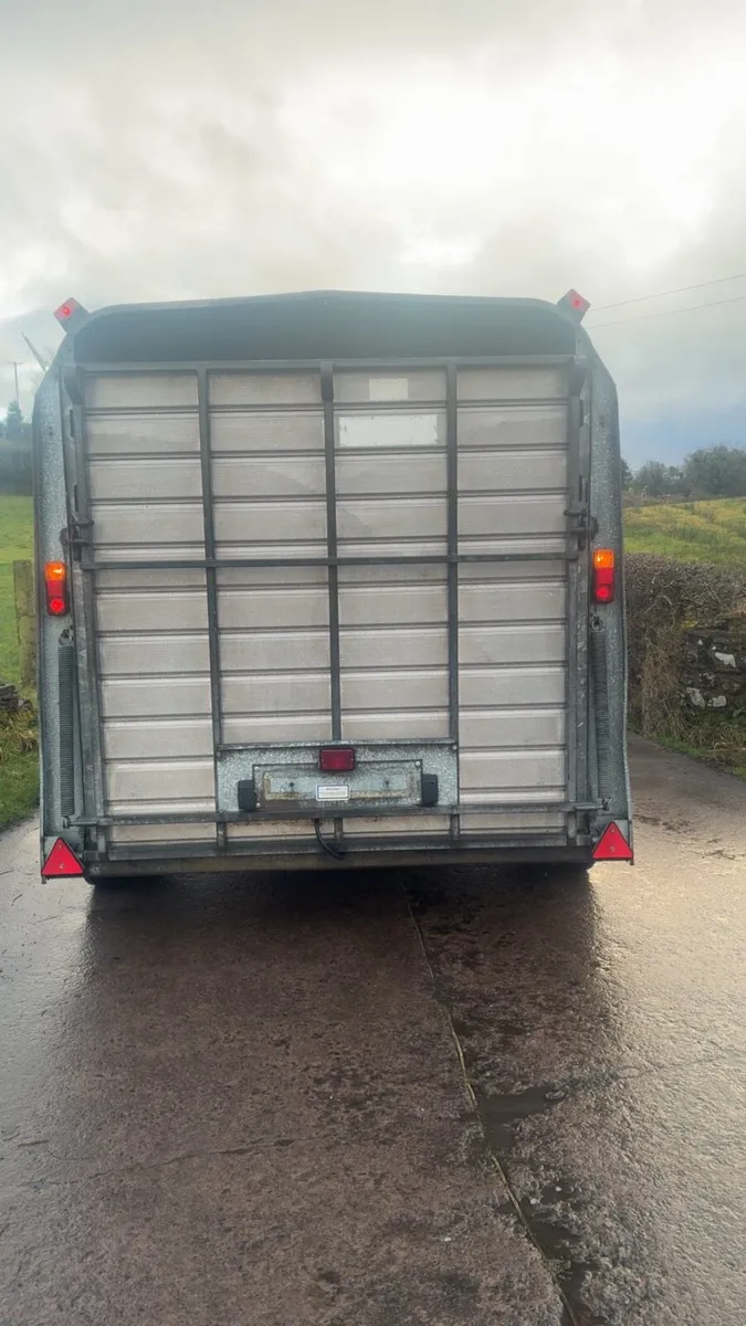 Ifor Williams cattle / sheep trailer - Image 3