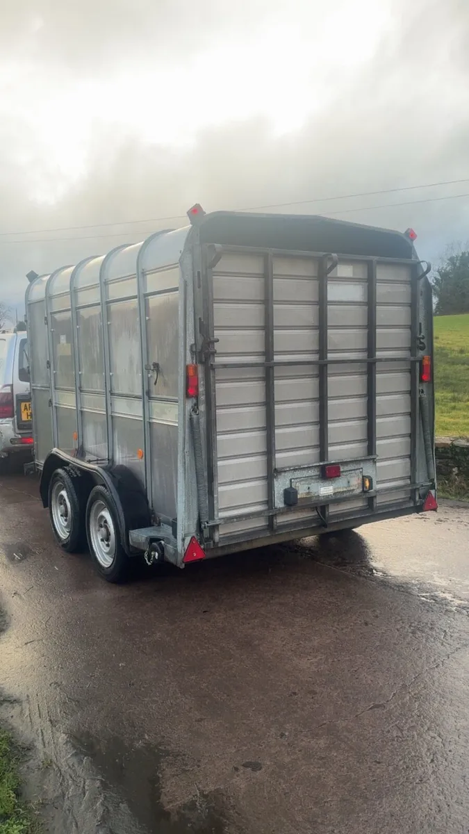 Ifor Williams cattle / sheep trailer - Image 4