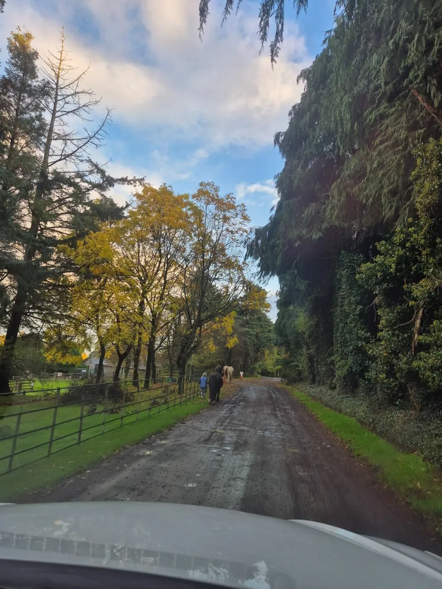 Horse livery space - Image 2