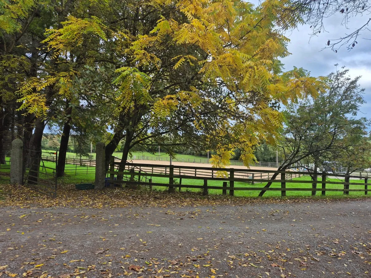 Horse livery space - Image 3