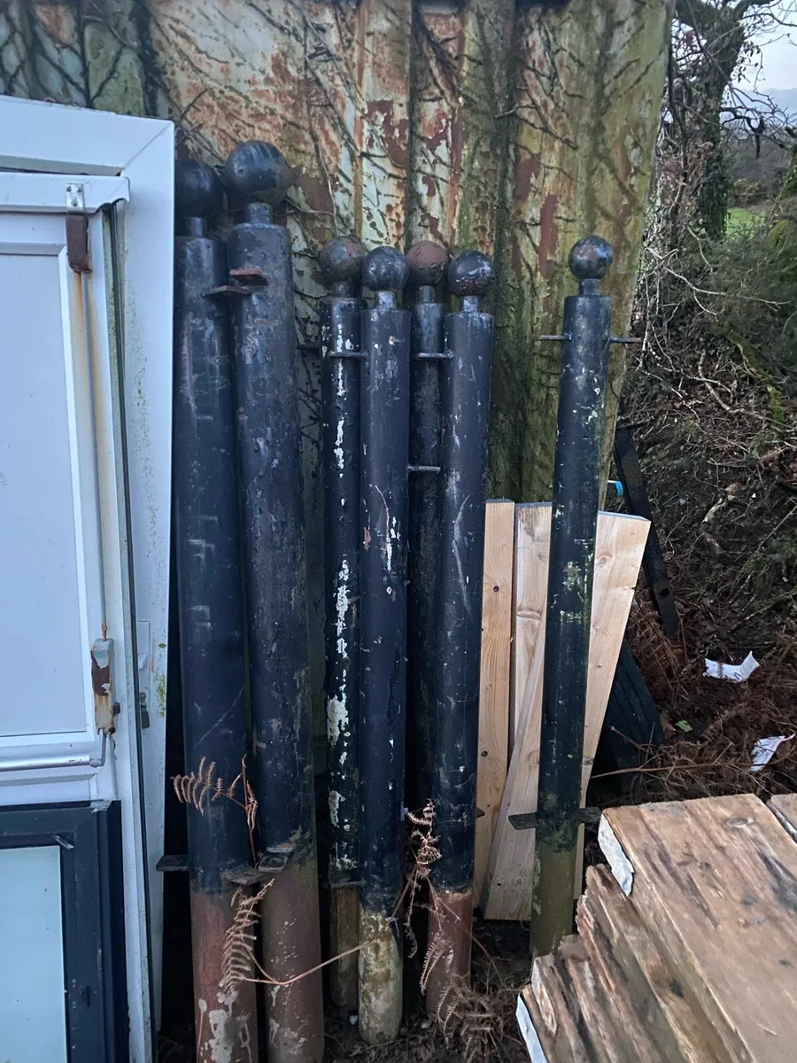 Iron decretive posts - Image 1