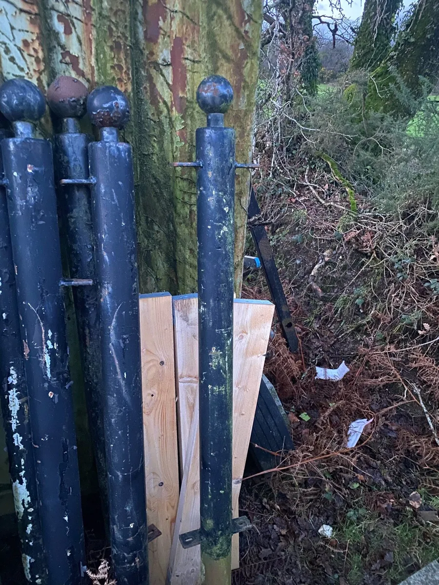 Iron decretive posts - Image 2