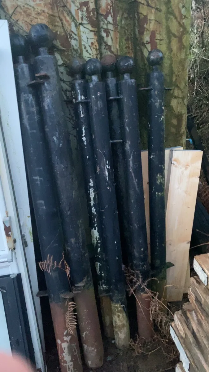 Iron decretive posts - Image 3