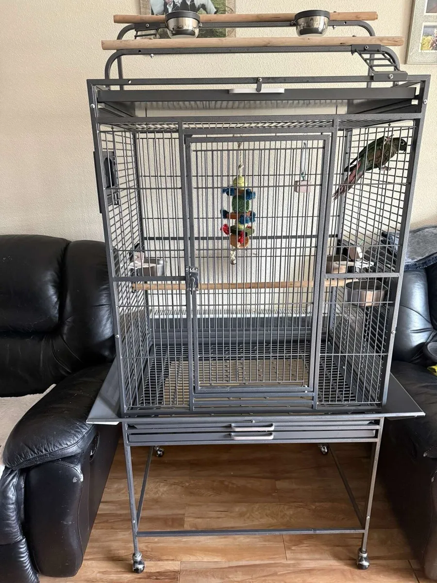 Large bird cage and accessories