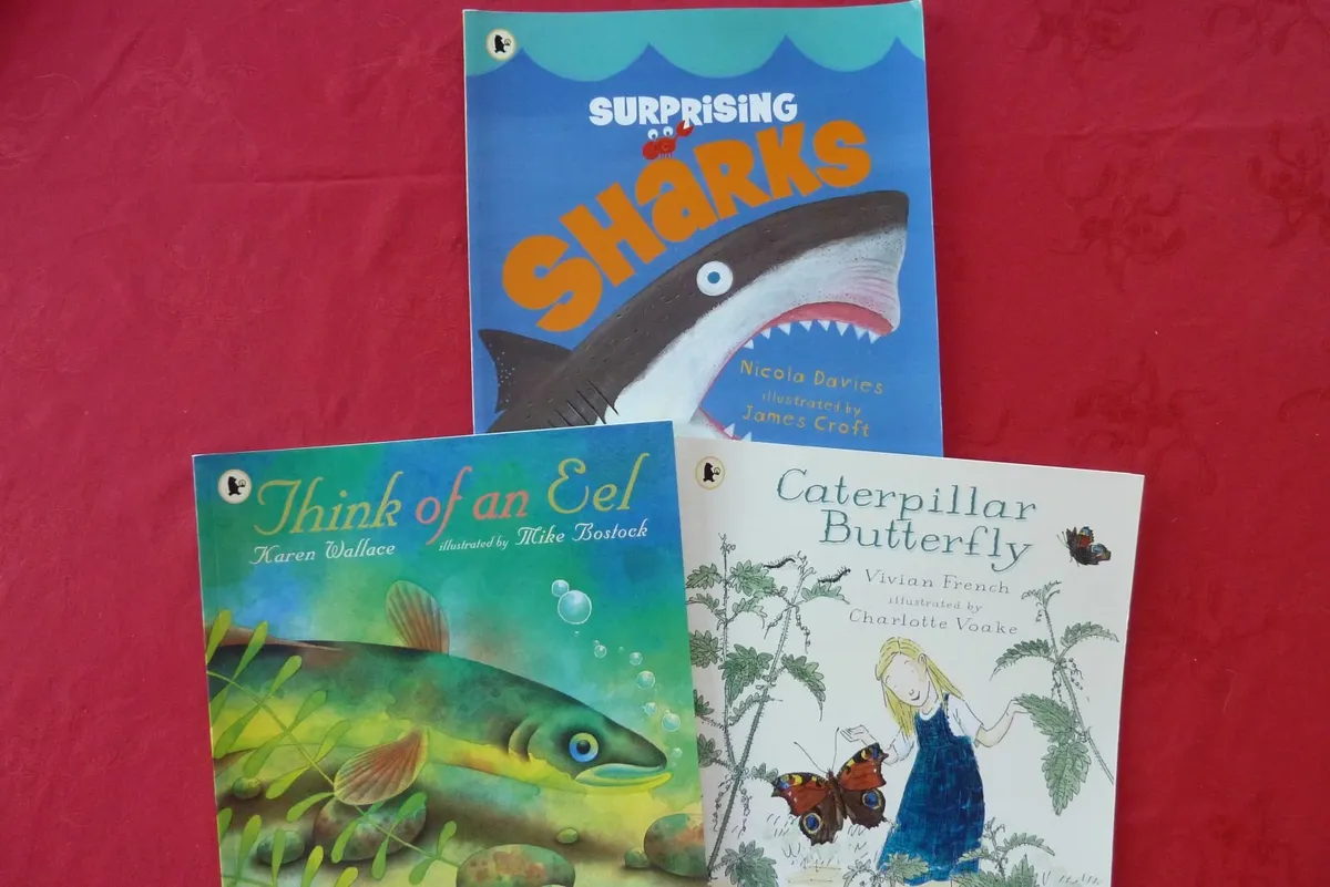 Various picture books - Image 4