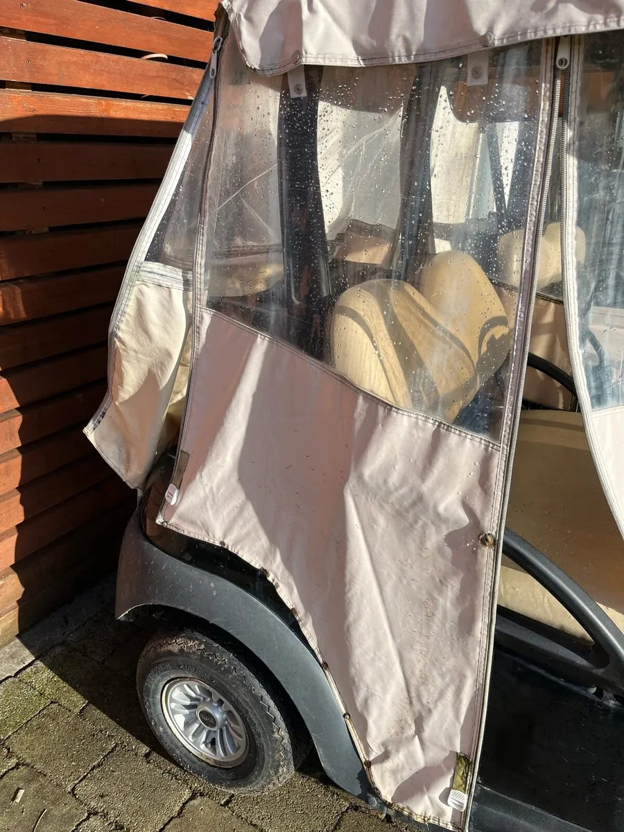 Choice of golf buggies - Image 2