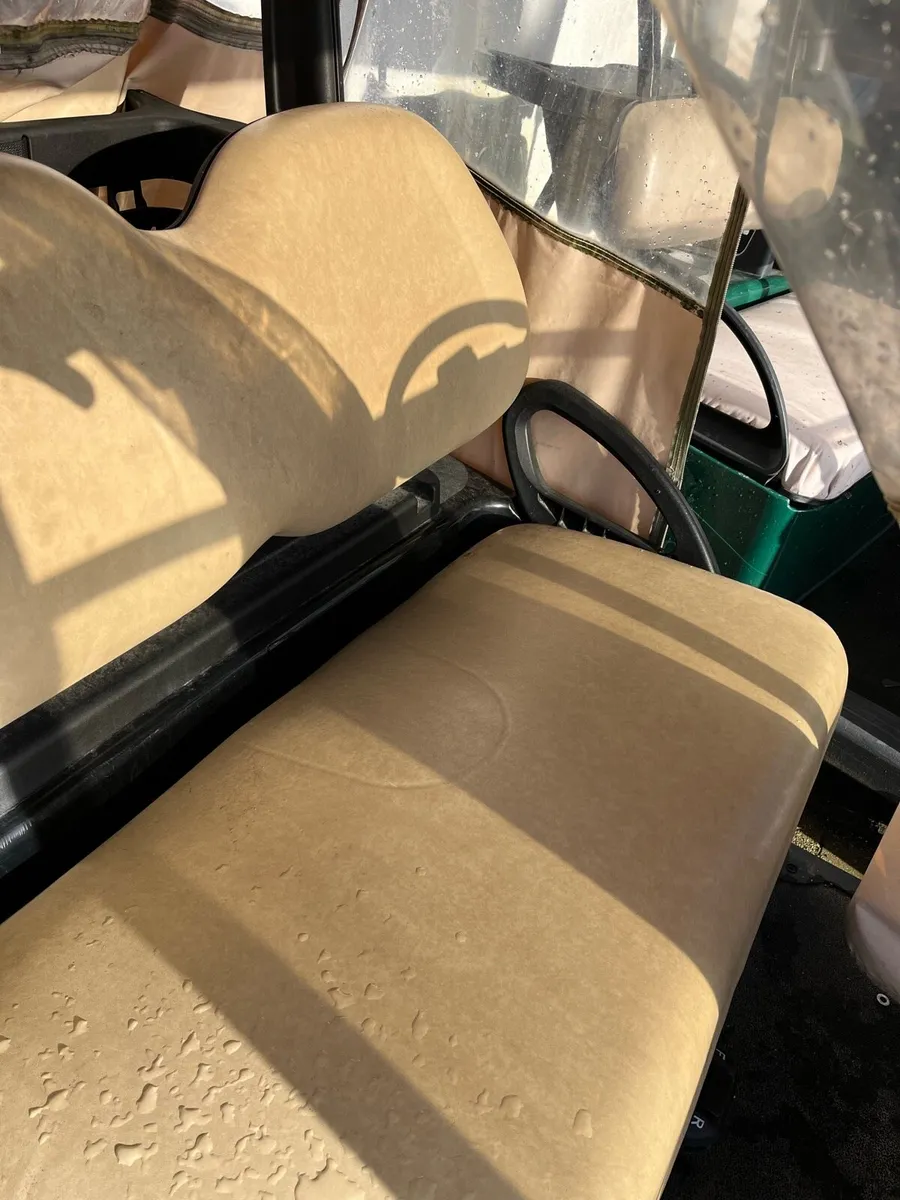 Choice of golf buggies - Image 3