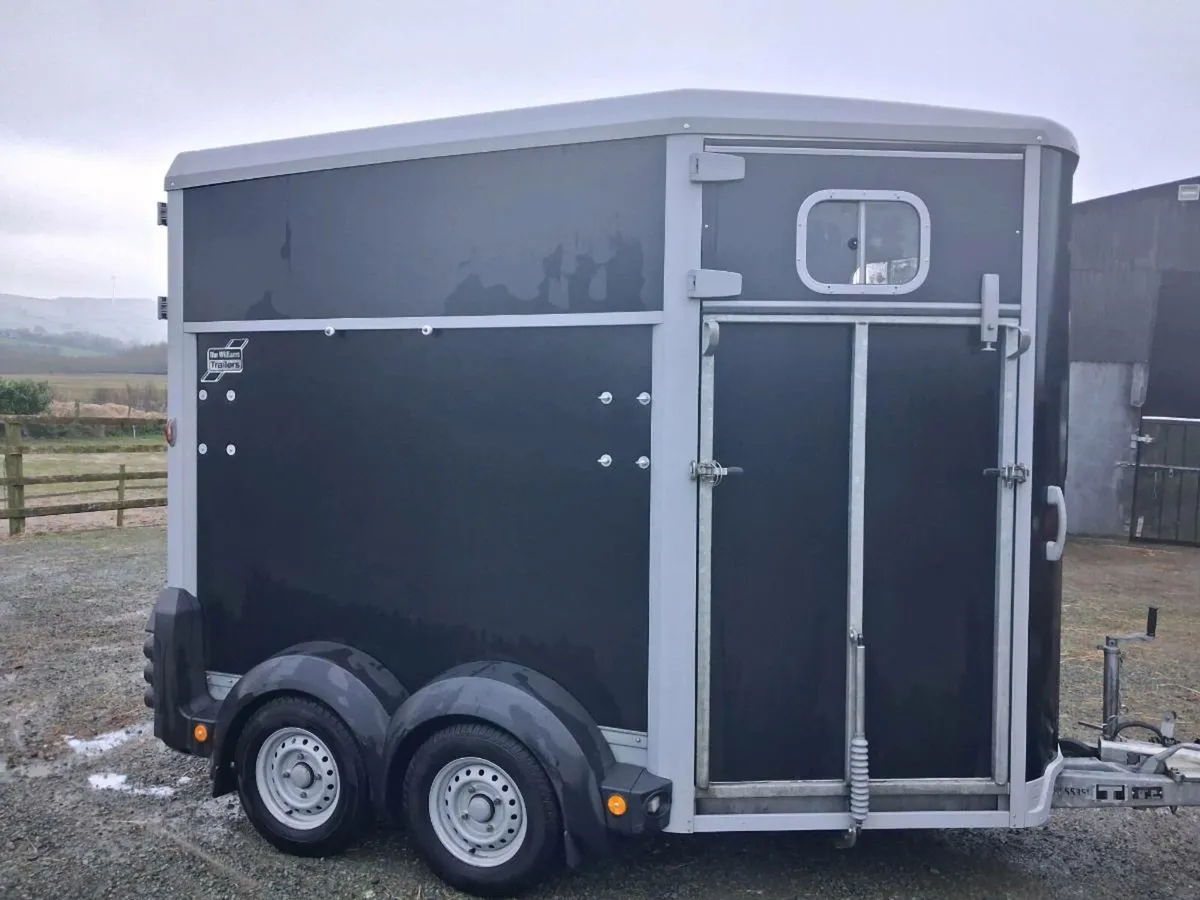 IFOR WILLIAMS 506 MK2 - Image 4