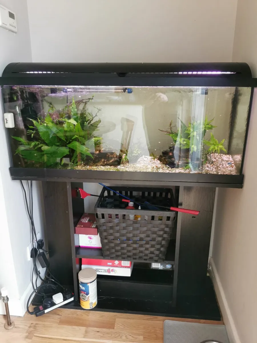 Fish tank 1 meter 132 liters - Image 1