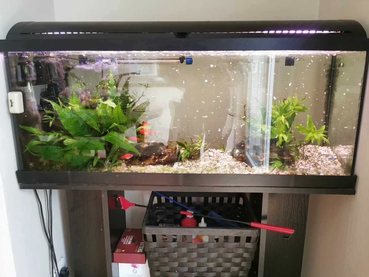 Fish tank 1 meter 132 liters - Image 2