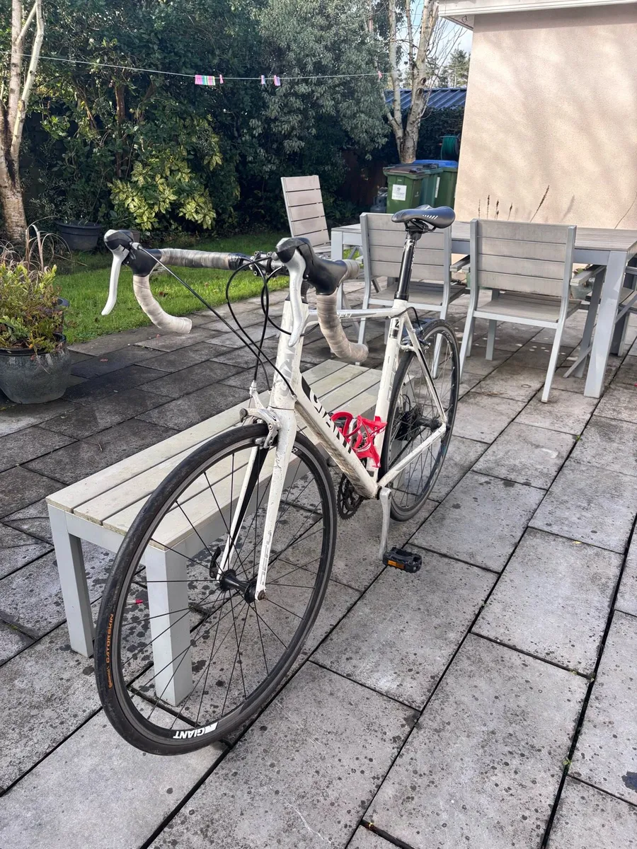 Giant Defy 4 - Image 2