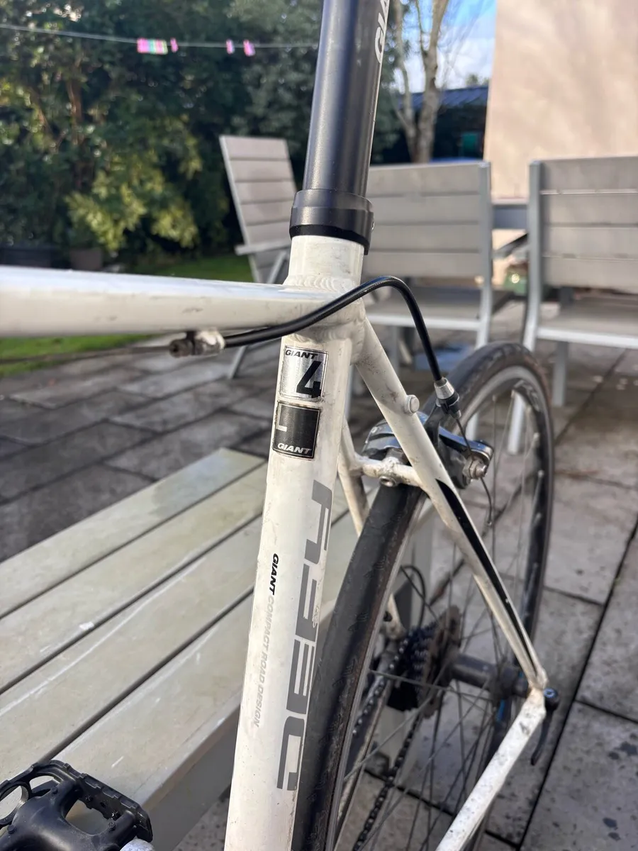 Giant Defy 4 - Image 3