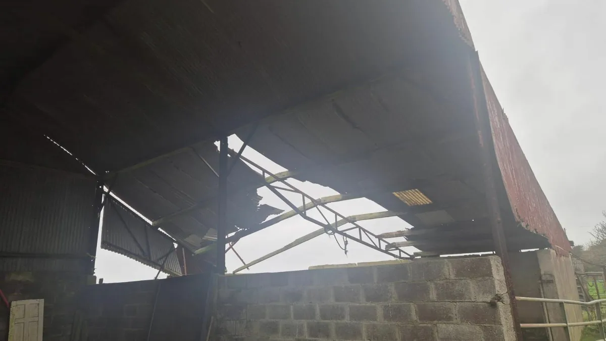 Munster Farm Shed Repairs & Painting - Image 2