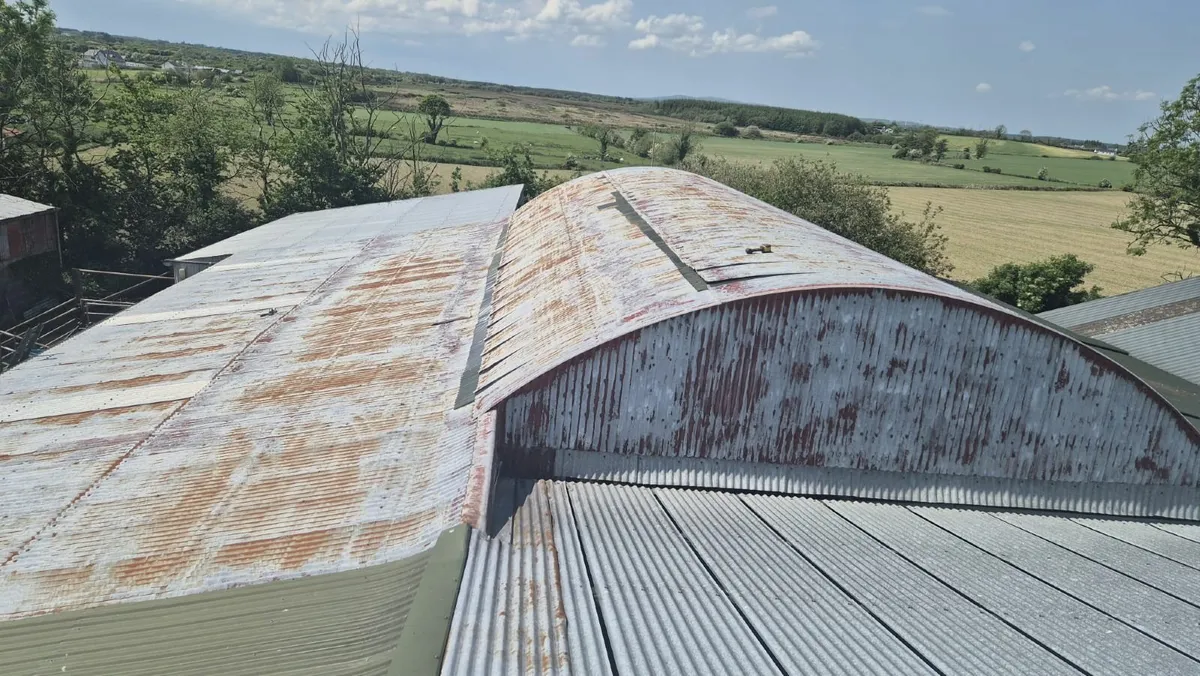 Munster Farm Shed Repairs & Painting - Image 4
