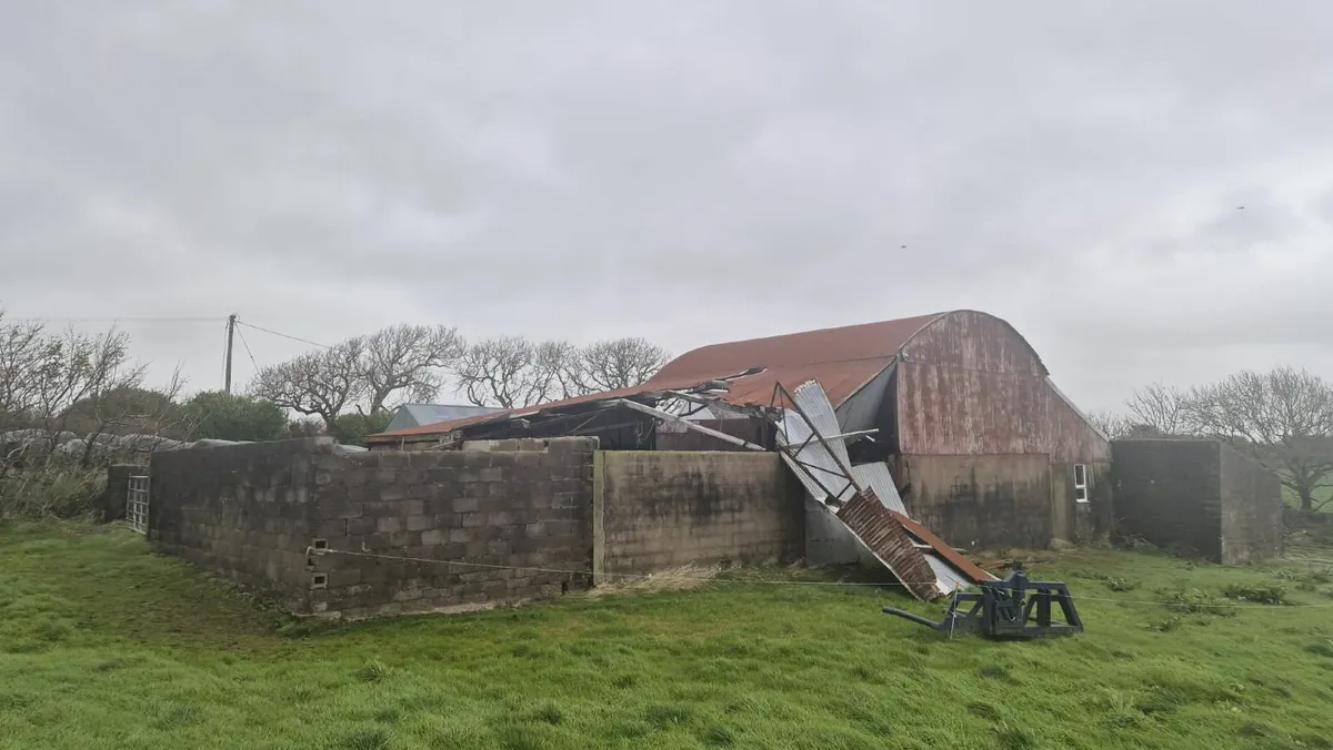 Munster Farm Shed Repairs & Painting - Image 4