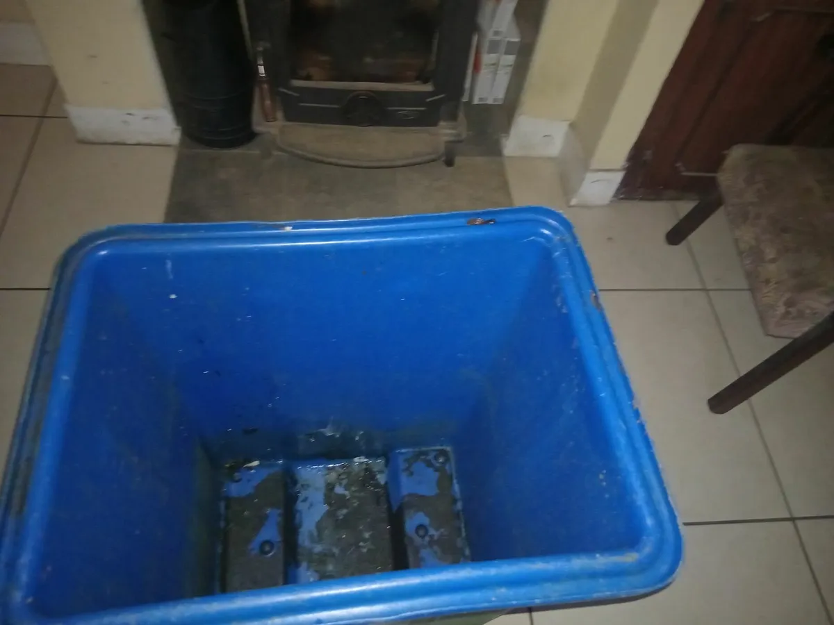 BIN ON WHEELS - Image 2