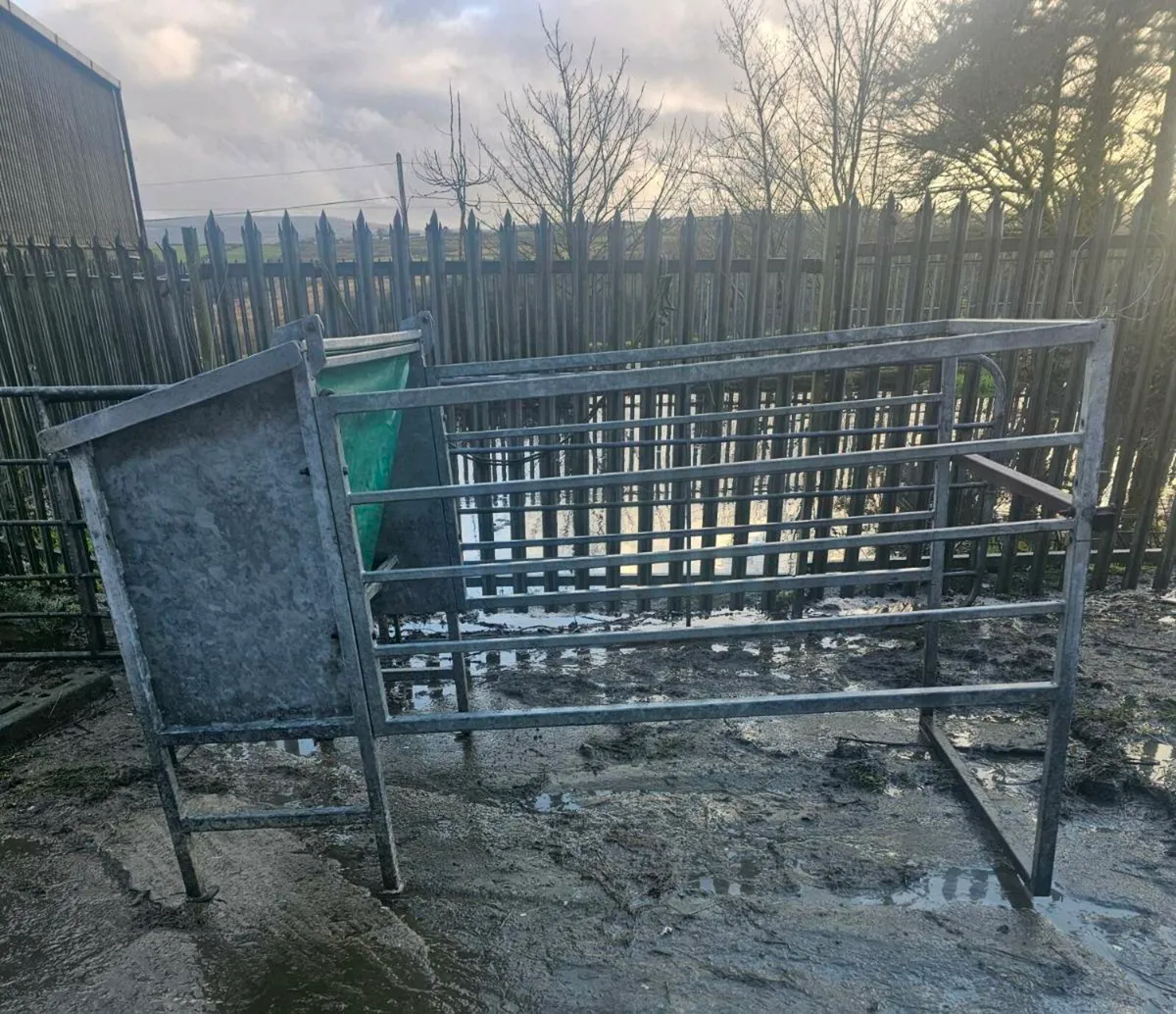Calf creep feeder - Image 2