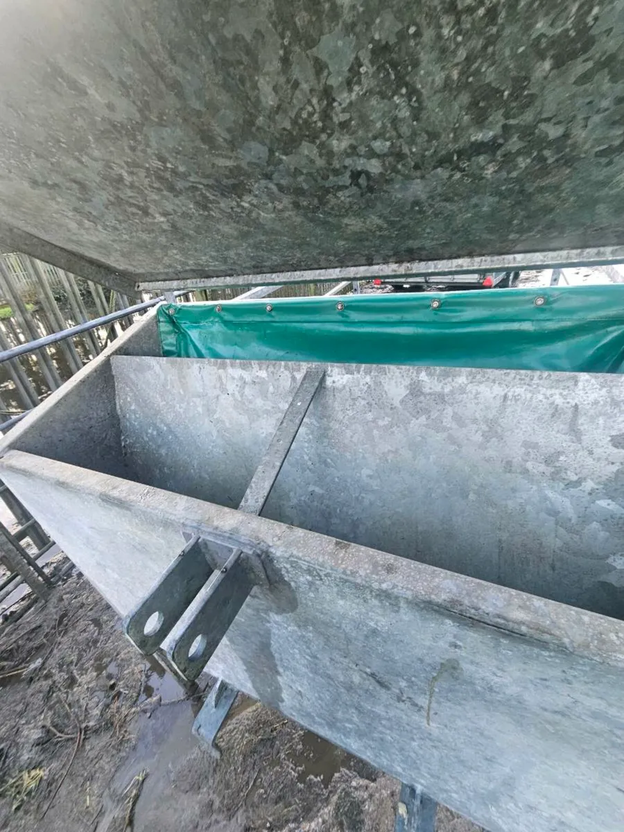 Calf creep feeder - Image 4