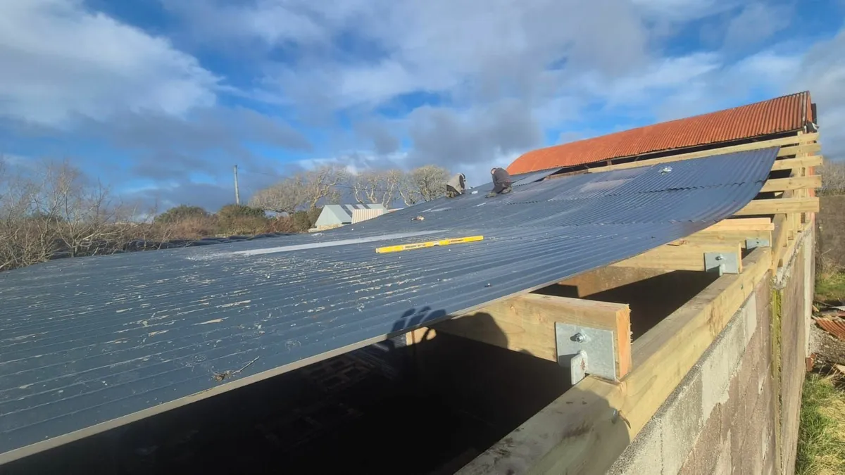 Munster Farm Shed Repairs - Image 2