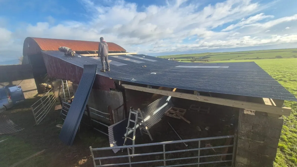 Munster Farm Shed Repairs - Image 1
