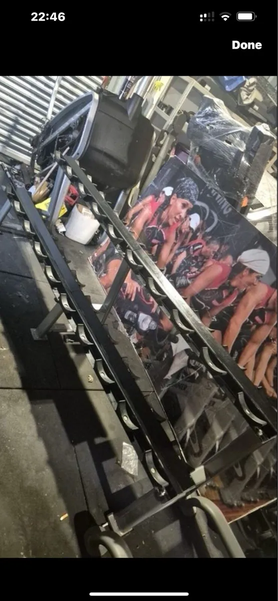 Life fitness two tier dumbbells rack - Image 2