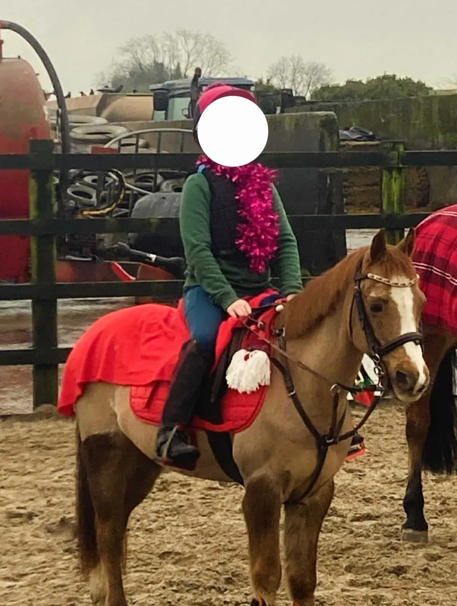 Little star 🌟 - Image 1