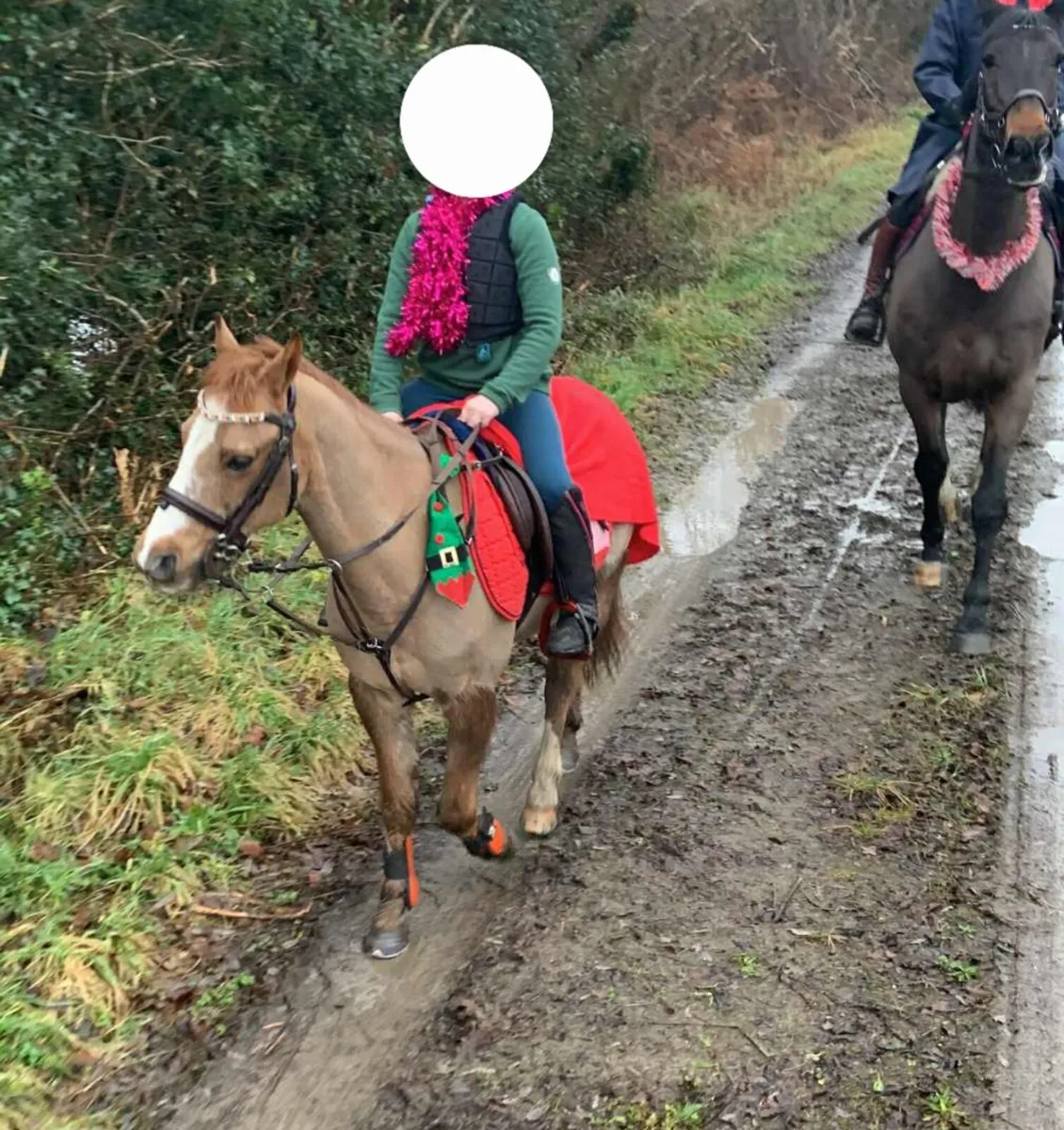 Little star 🌟 - Image 2