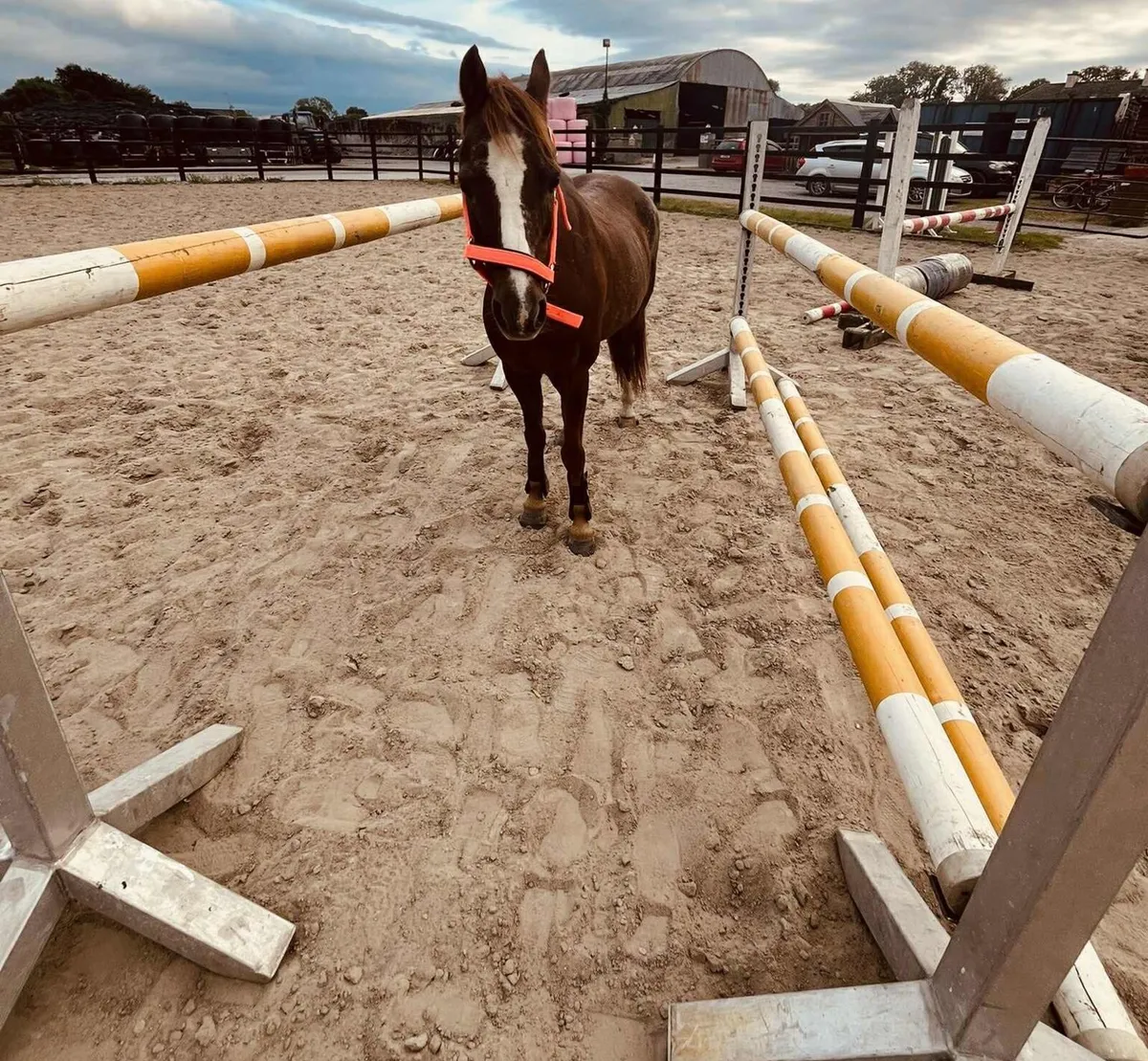 Little star 🌟 - Image 4