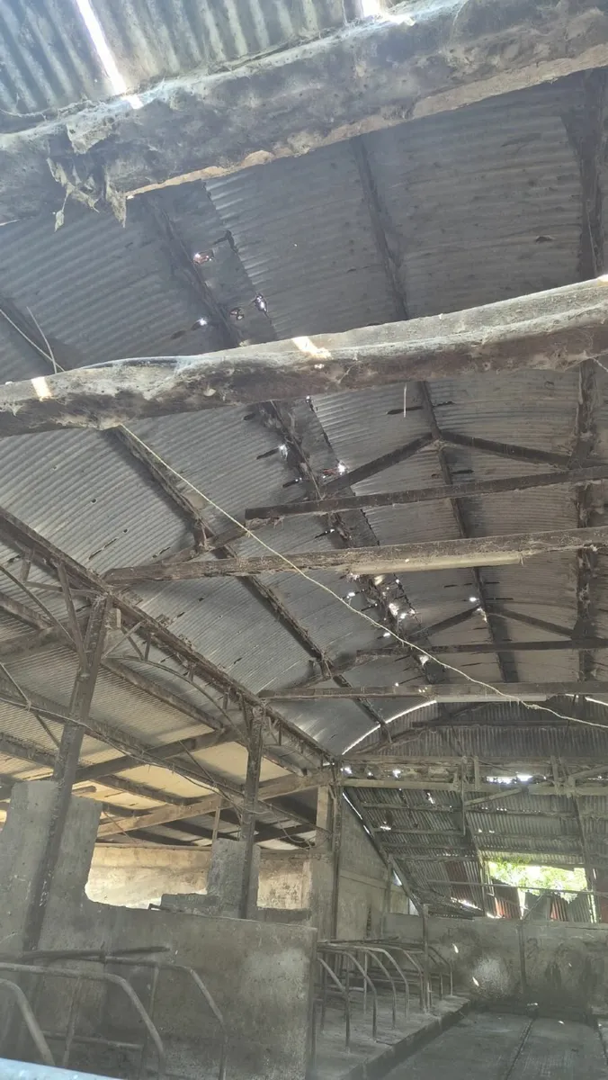 Farm Shed Repairs & Upgrades - Image 3