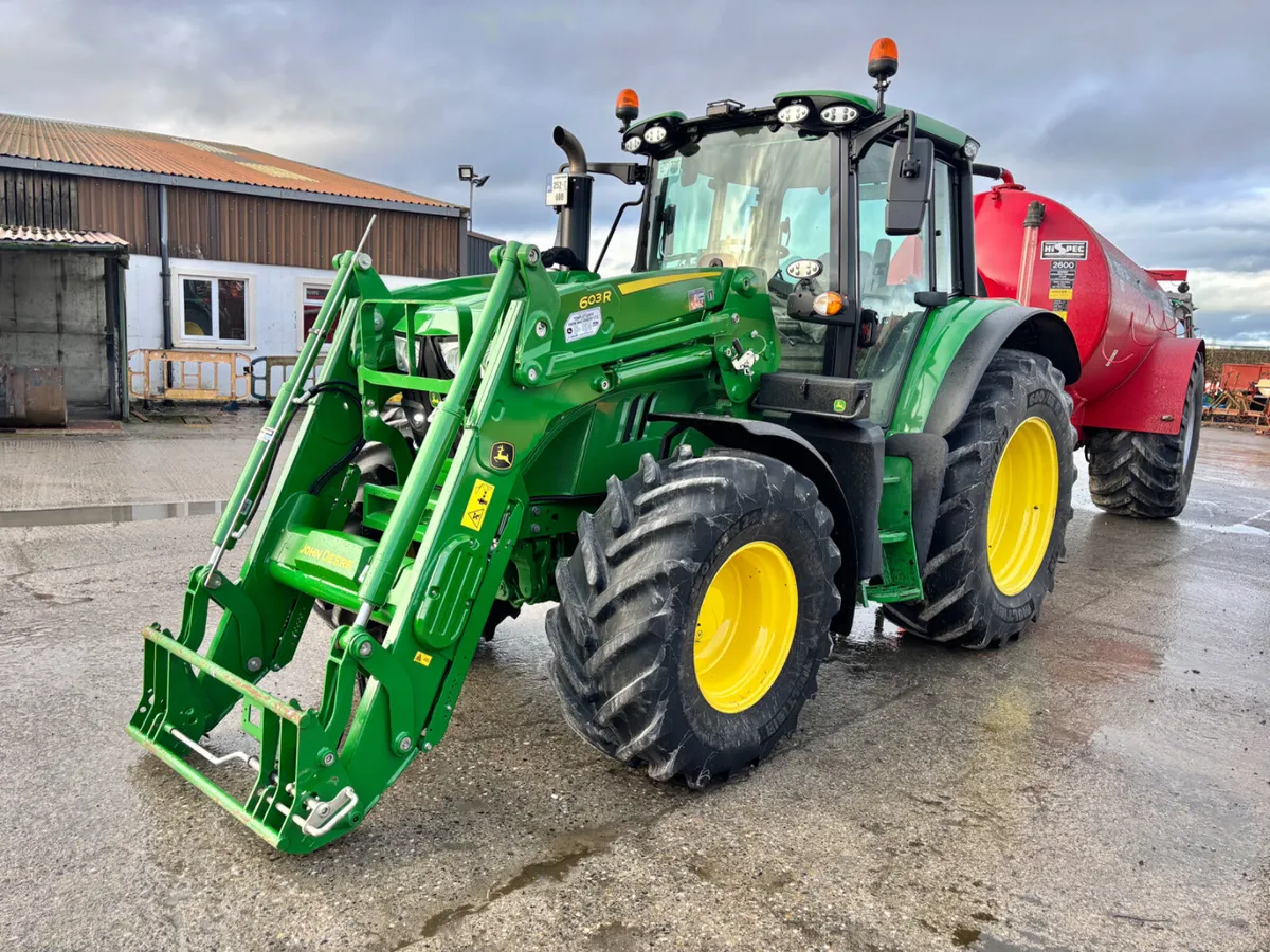 Special Dispersal Auction Saturday @ Portlaoise - Image 2