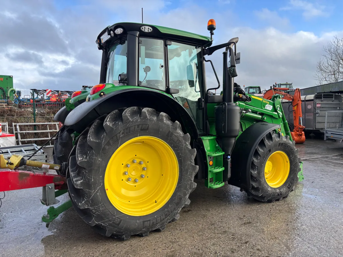 Special Dispersal Auction Saturday @ Portlaoise - Image 4