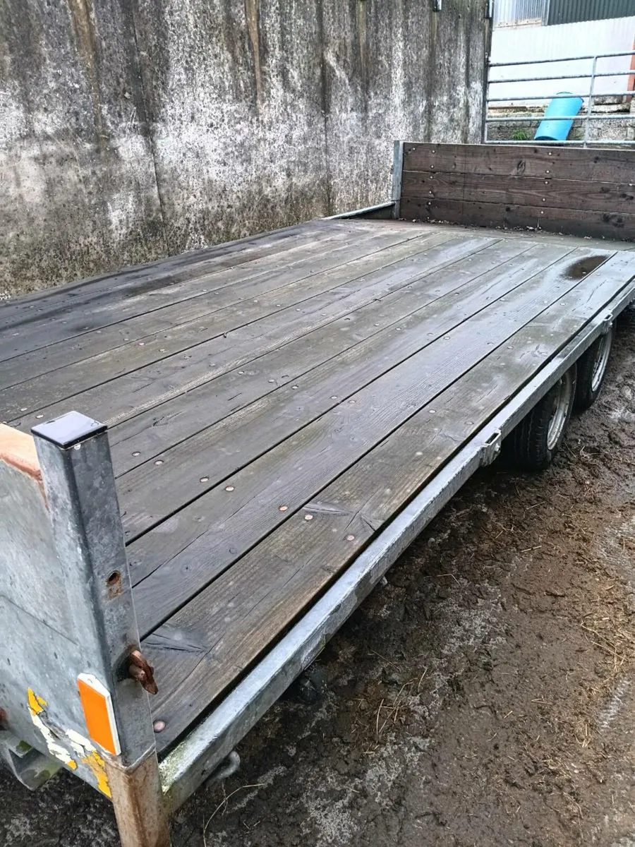 16ft Beaver Tail trailer - Image 3