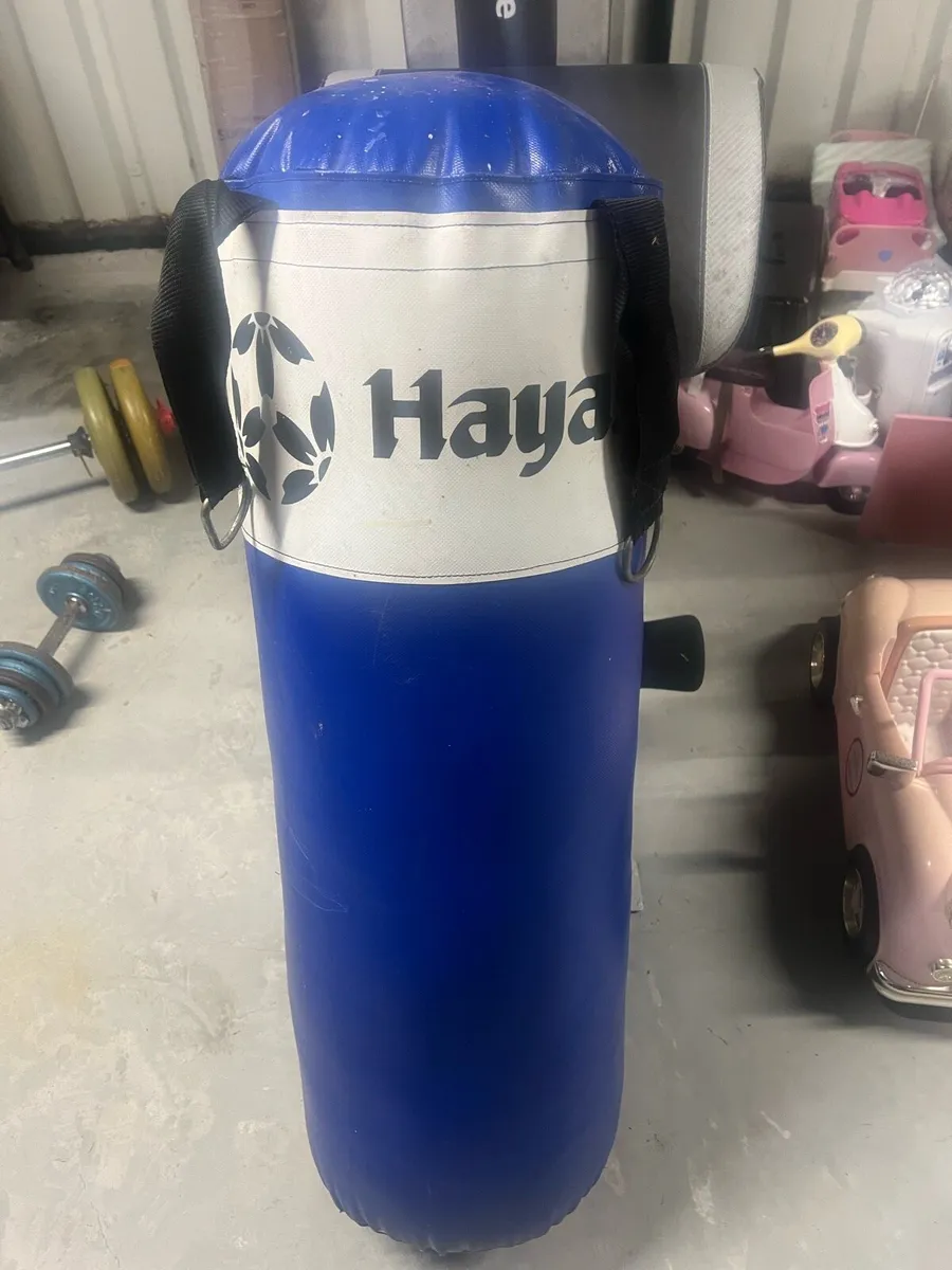 Punch Bag