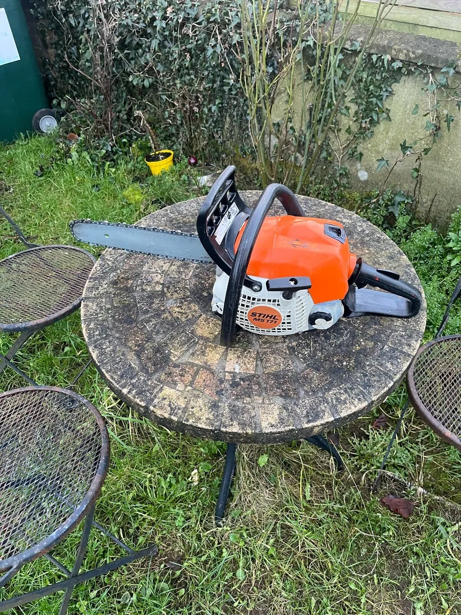 Chainsaw - Image 1