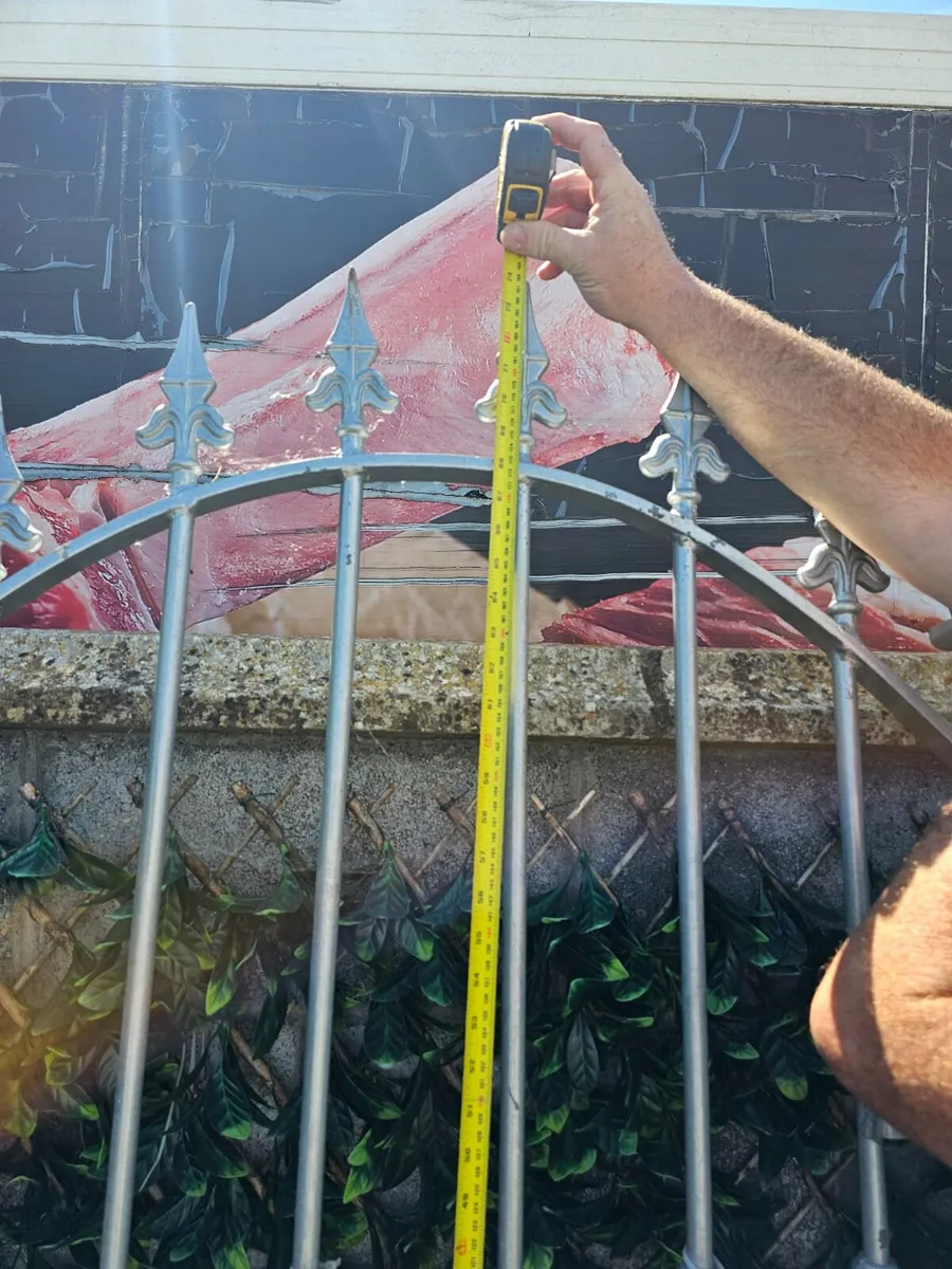 Garden gate - Image 3