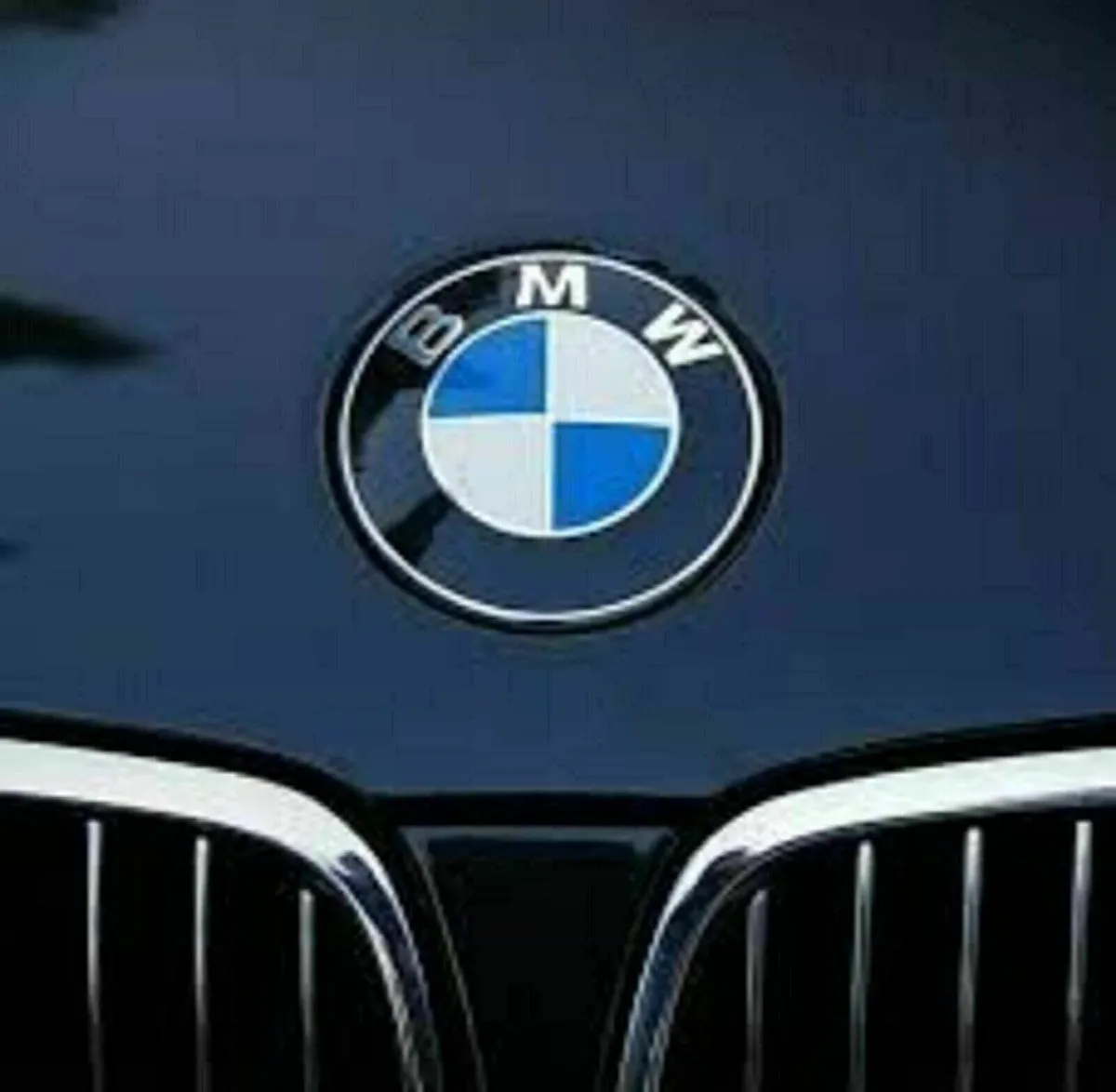 BMW Bonnet, Boot badge - FREE POST - Image 2