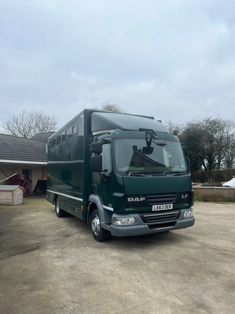2014 Daf LF horse box - Image 1