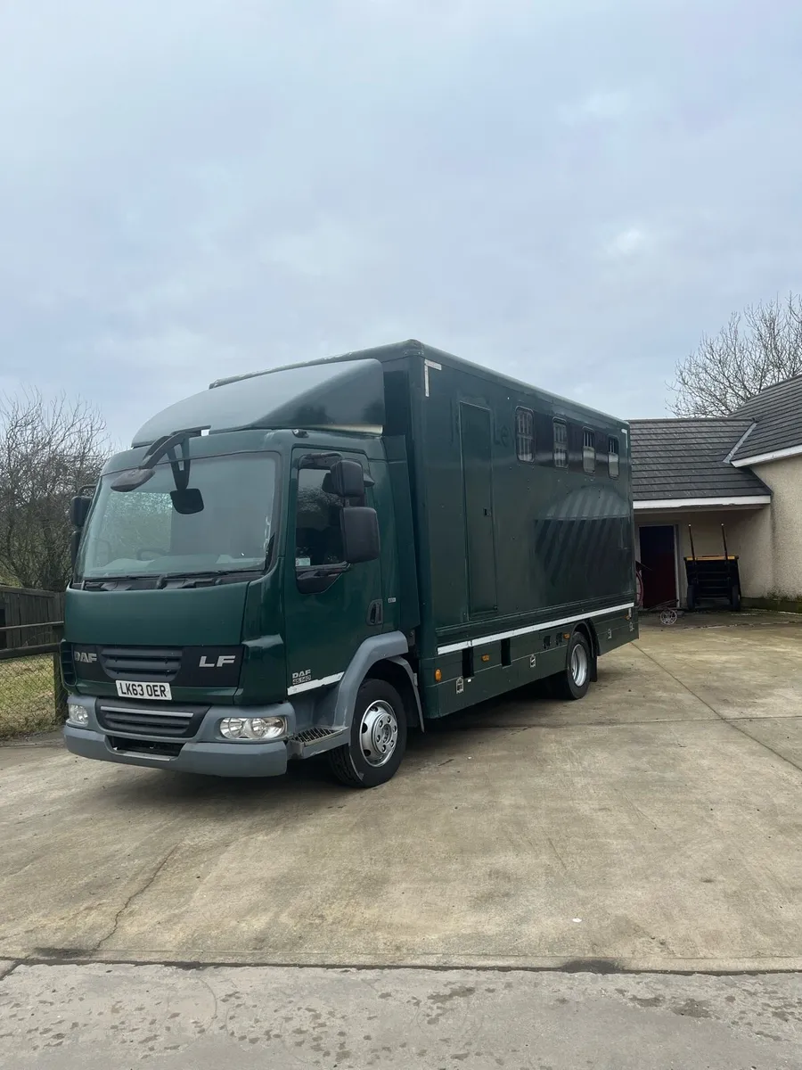 2014 Daf LF horse box - Image 2