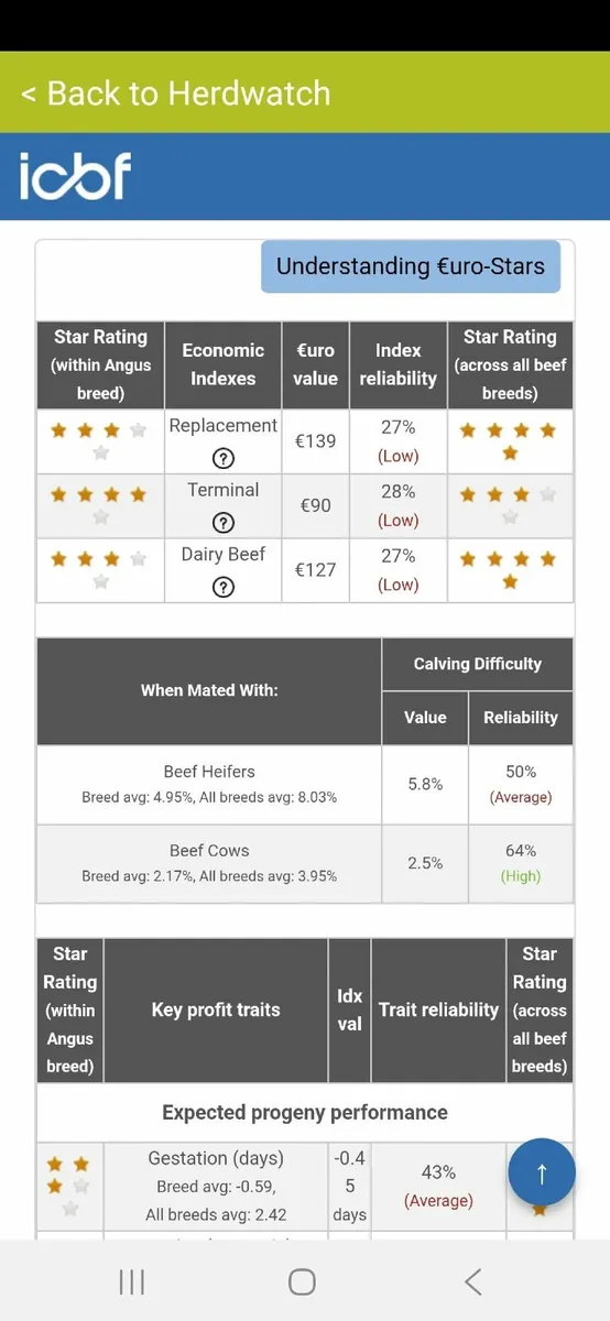 PBR Angus bull - Image 2