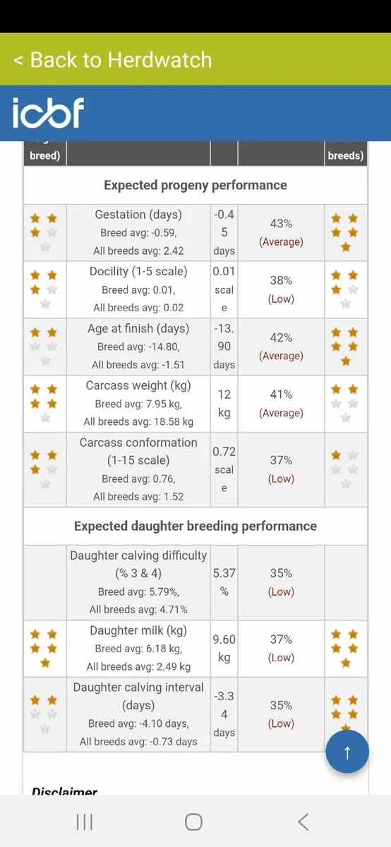 PBR Angus bull - Image 4