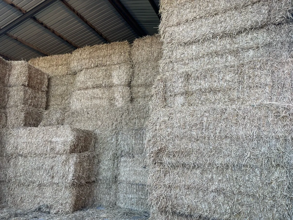 8x4x3. Wheat Straw - Image 2