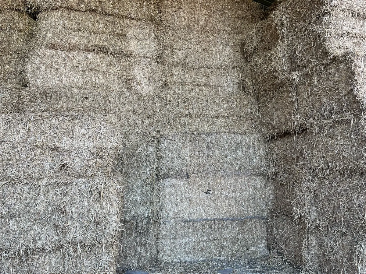 8x4x3. Wheat Straw - Image 3