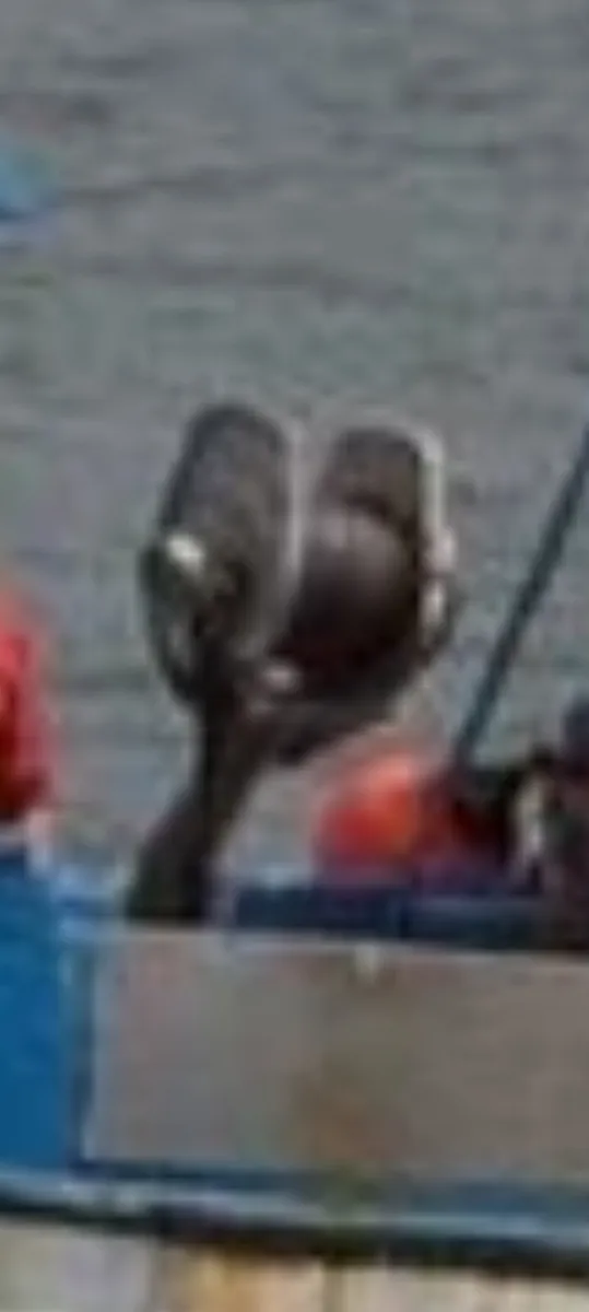 Net hauler - Image 2