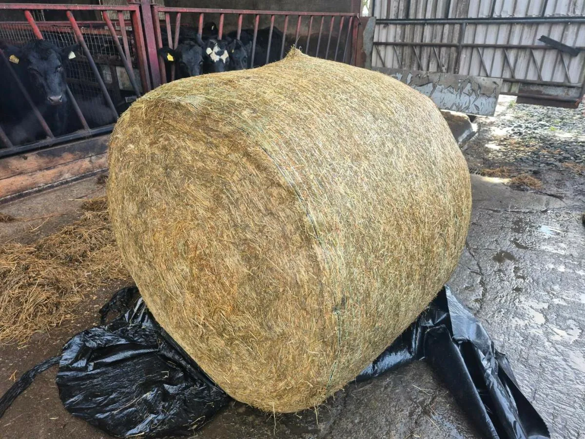 Haylage/silage bales - Image 1