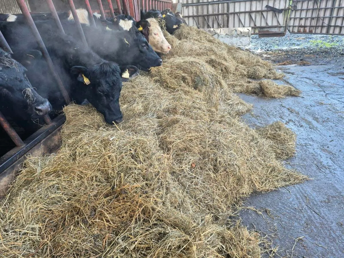 Haylage/silage bales - Image 2