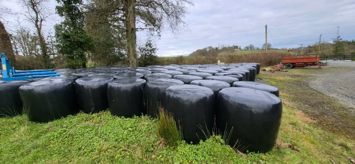 Haylage/silage bales - Image 4