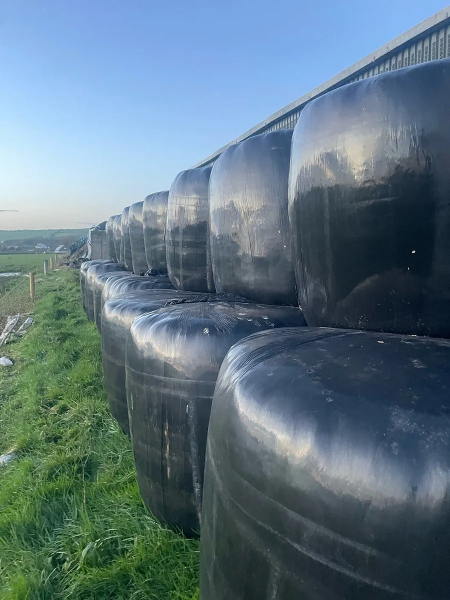 Silage bales and other fodders