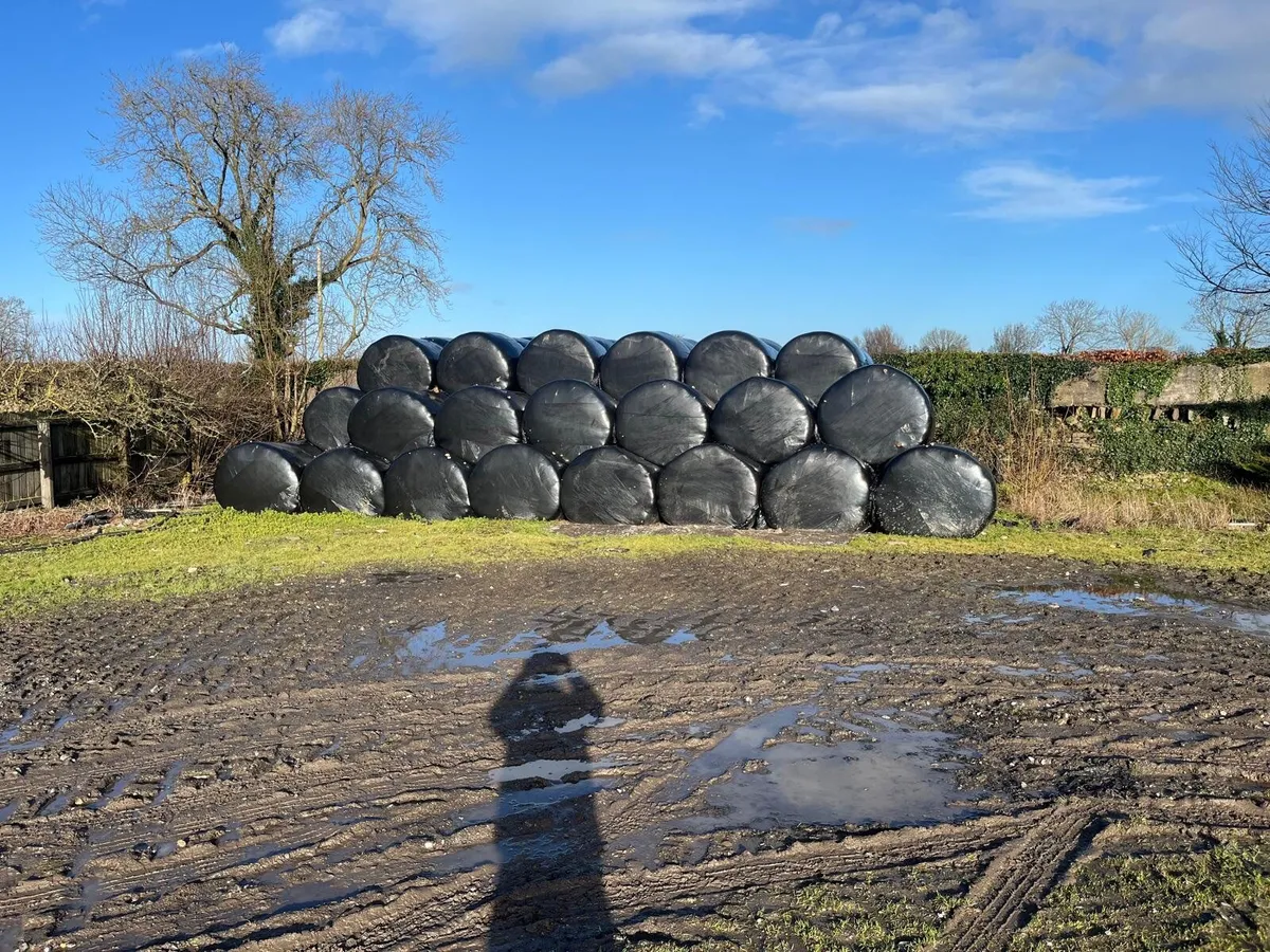 Round Bales for sale